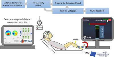 Development and evaluation of a BCI-neurofeedback system with real-time EEG detection and electrical stimulation assistance during motor attempt for neurorehabilitation of children with cerebral palsy
